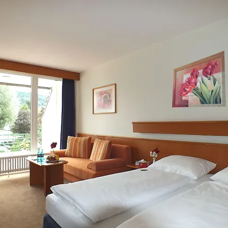 Hotel Fletcher Parkhotel Olsberg-winterberg 3*