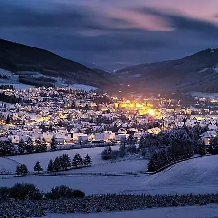 Fletcher Parkhotel Olsberg-winterberg Отель 3*