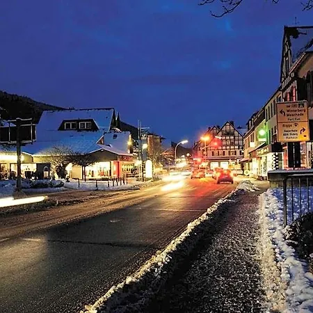 Fletcher Parkhotel Olsberg-winterberg Отель Ольсберг