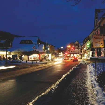 Fletcher Parkhotel Olsberg-winterberg Hotel