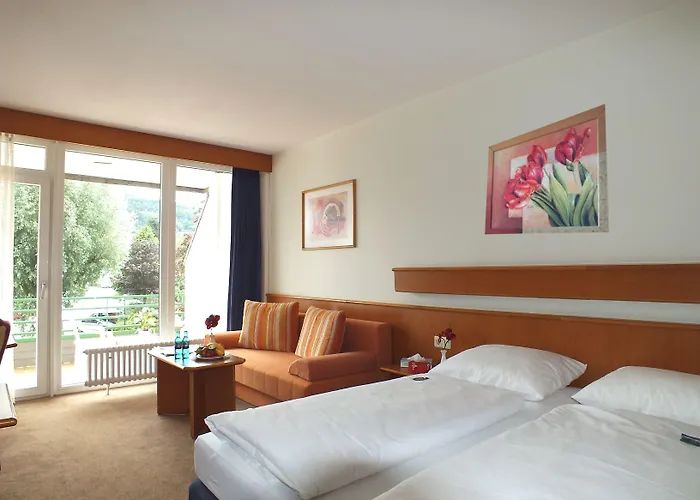 Отель Parkhotel 3*