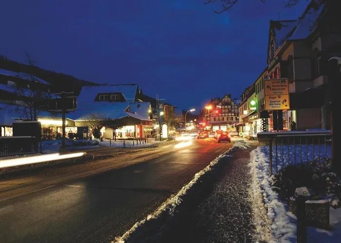 Parkhotel Отель